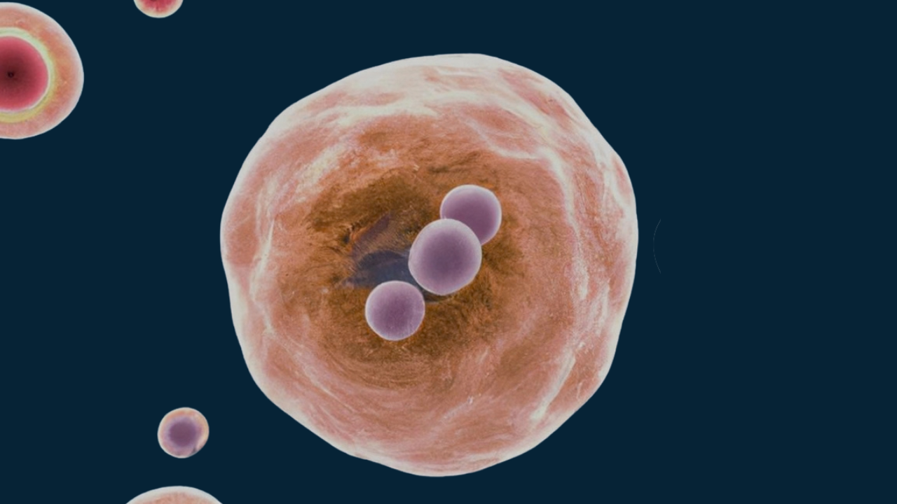 Are Exosomes Good For Hair Growth? The Science Behind It 1 Are Exosomes Good For Hair Growth The Science Behind It 2